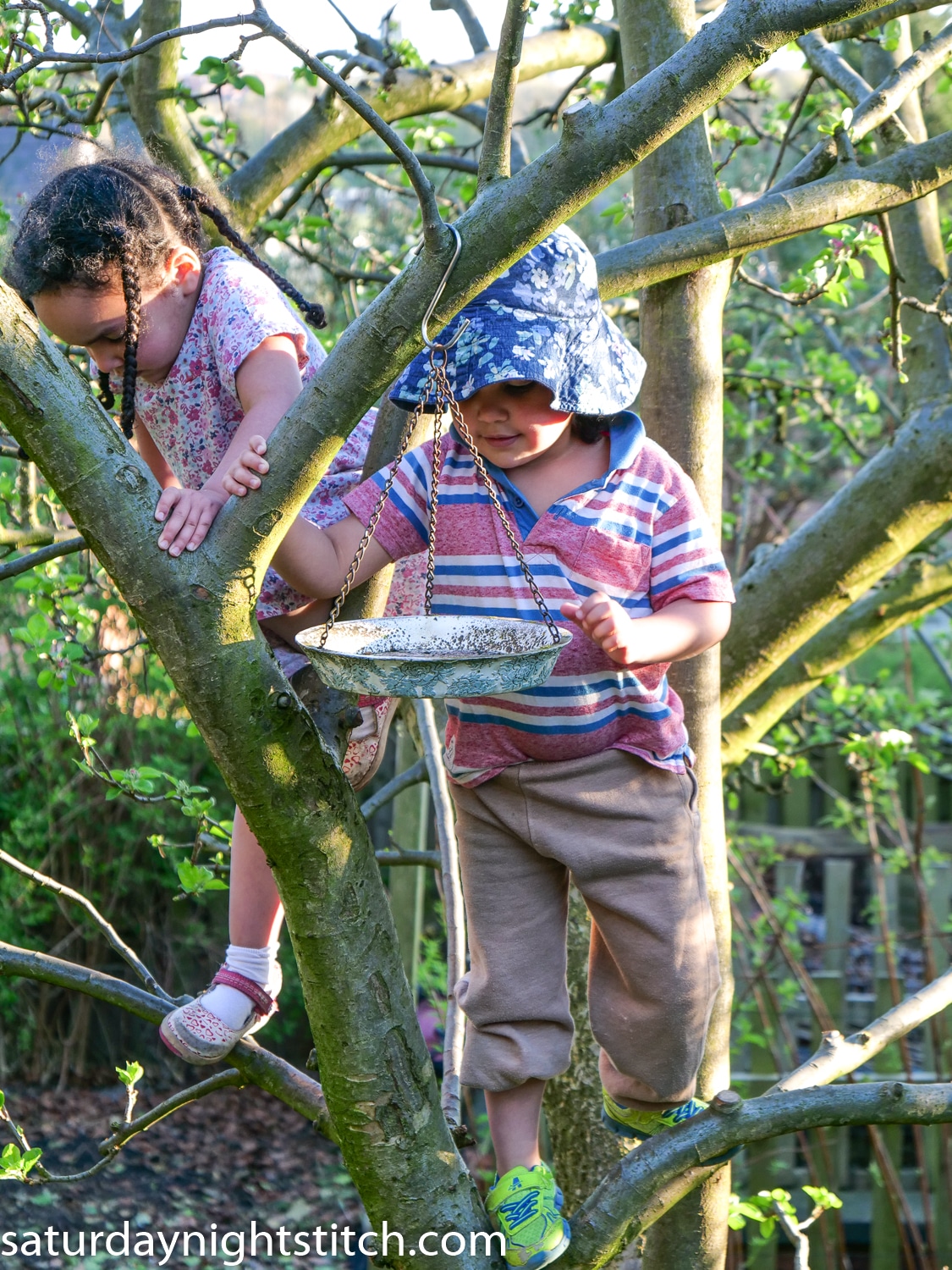 wordless-wednesday 5 twins climbimg in apple tree